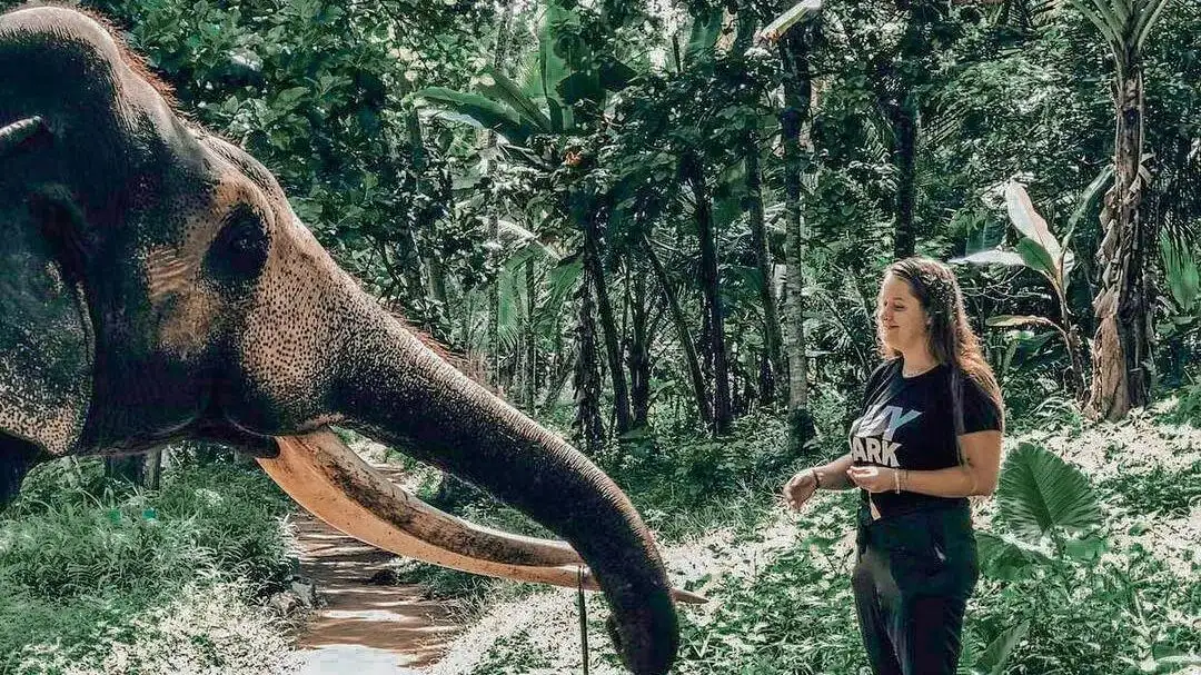Millennium Elephant Foundation Pinnawala Sri Lanka
